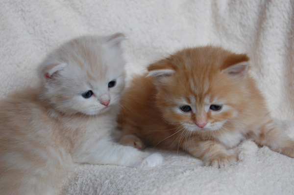 mit Brüderchen Ramses.jpg